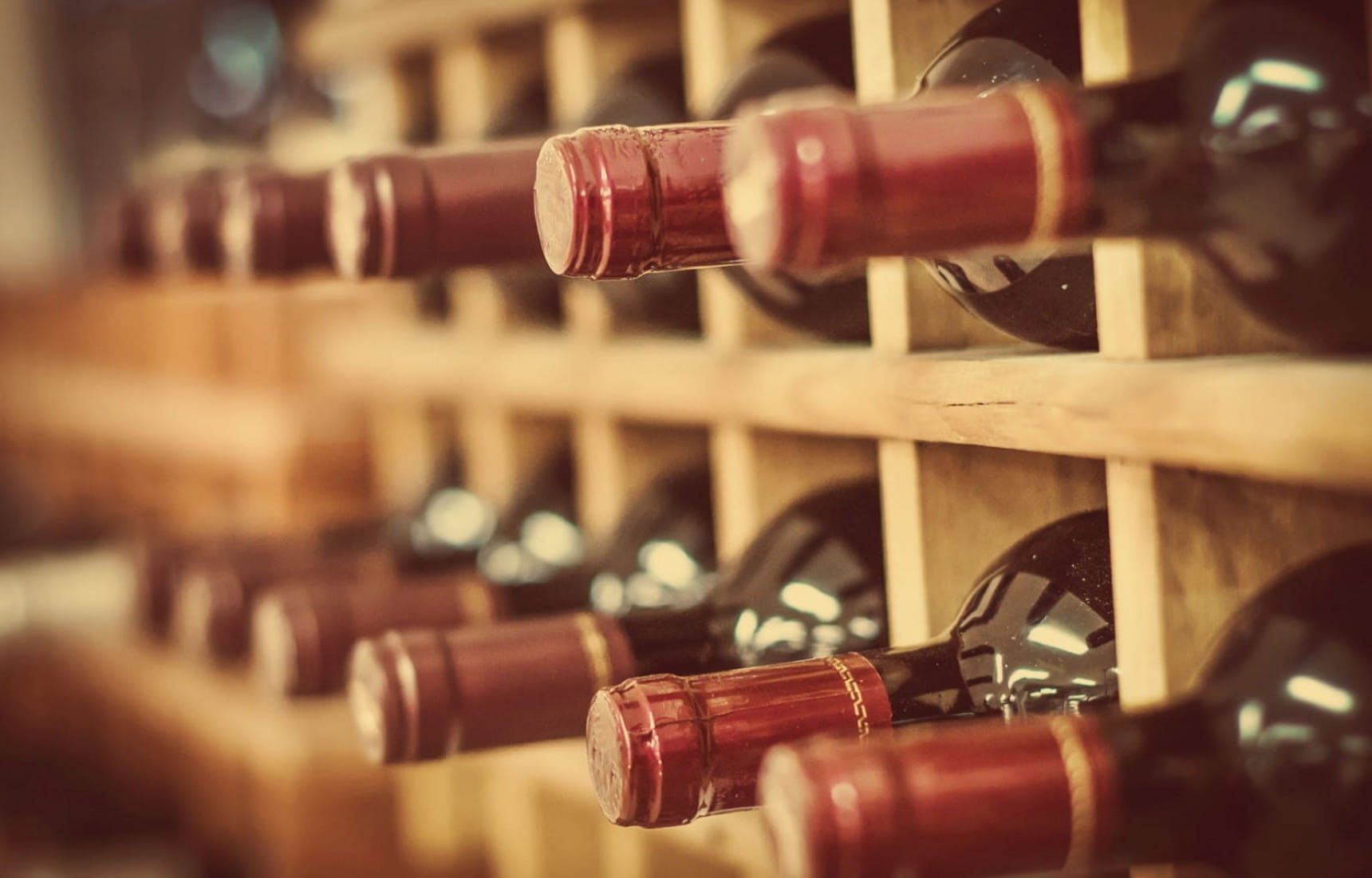 Qualities of the Best Wine Cellar
